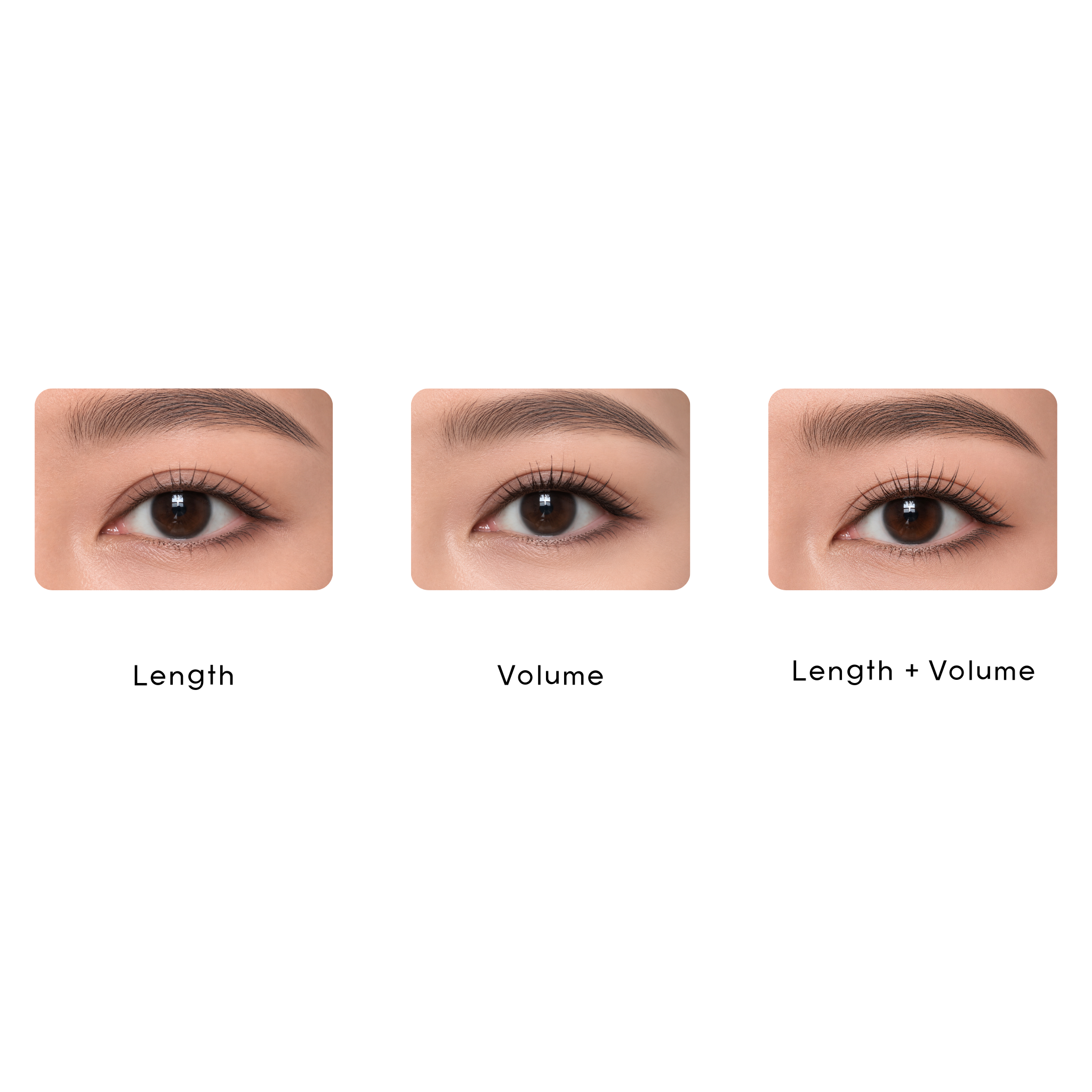 Waterproof Dual Lash Mascara